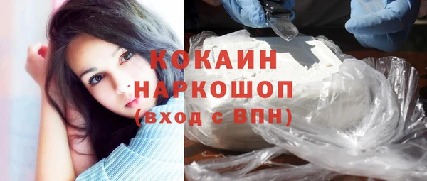 бошки Алексин