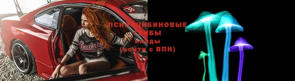 прущий лед Алзамай