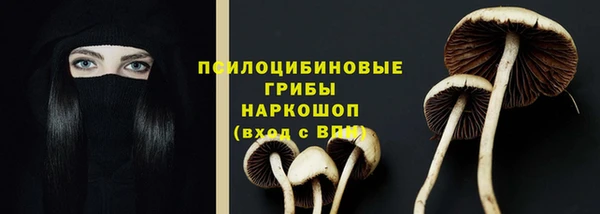 индика Касимов