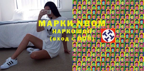 прущий лед Алзамай