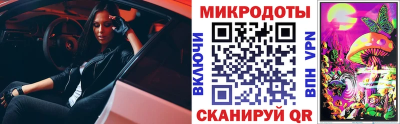 даркнет сайт Полысаево ссылка на мегу зеркало Псилоцибиновые грибы Psilocybine cubensis